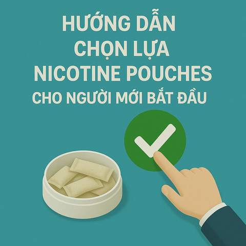 Hướng dẫn chọn lựa nicotine pouches cho người mới bắt đầu