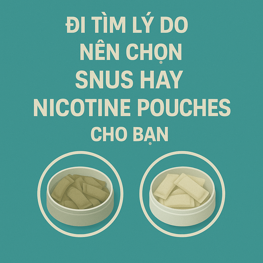 Đi tìm lý do nên chọn snus hay nicotine pouches cho bạn