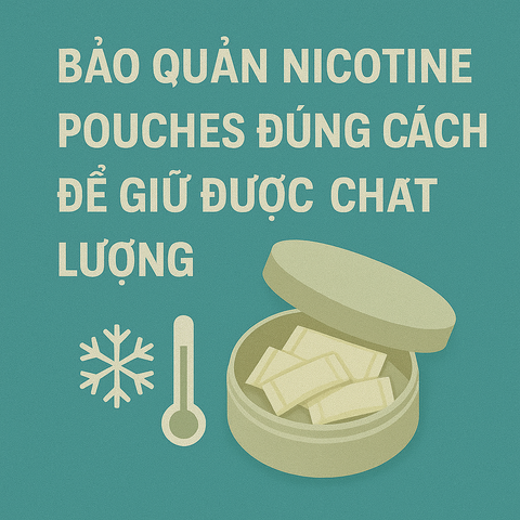 Bảo quản nicotine pouches đúng cách để giữ được chất lượng