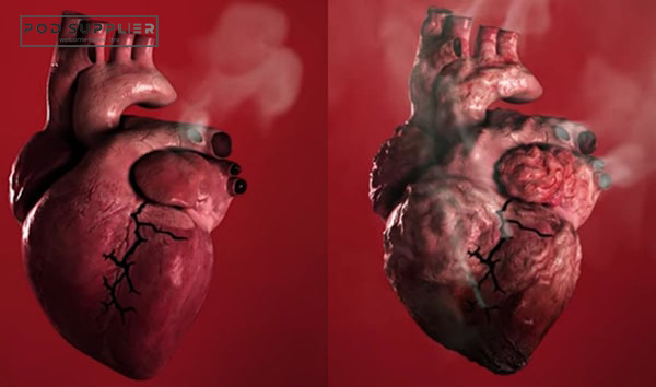 Tác hại của thuốc lá đến tim mạch của người dùng