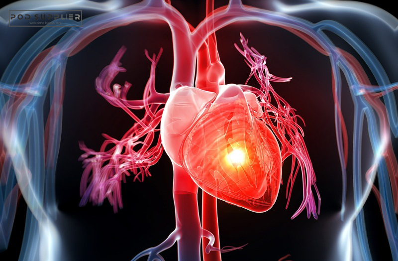 Sự thật phía sau tin đồn thuốc lá điện tử ảnh hưởng tới sức khỏe tim mạch?