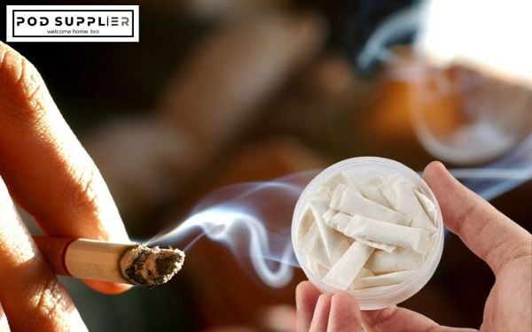 Đặc điểm nổi bật túi nicotine vị thuốc lá