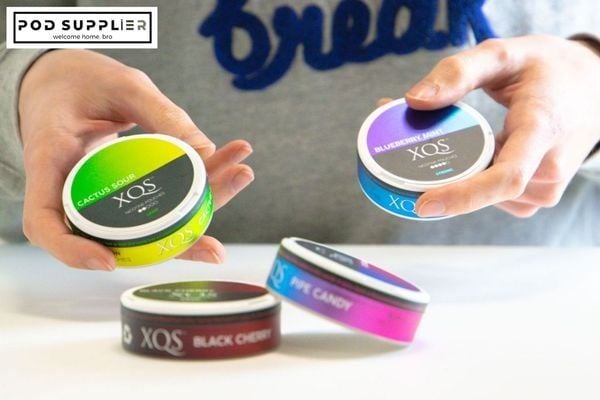 Giới thiệu chung về XQS White Snus