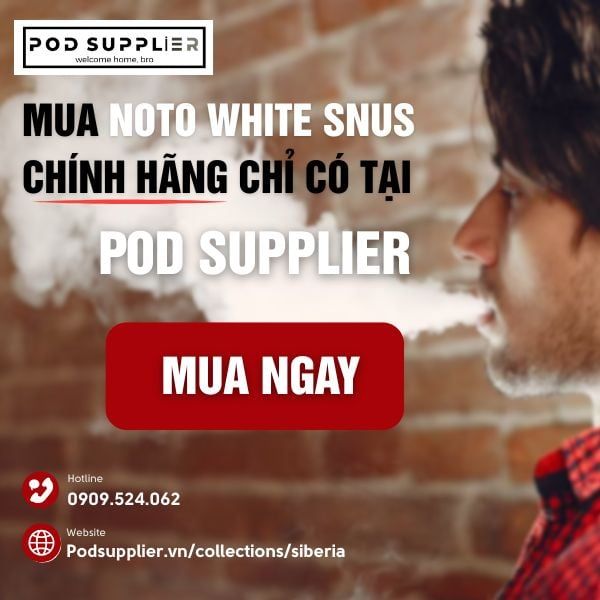 Mua Túi Ngậm Nicotine Noto