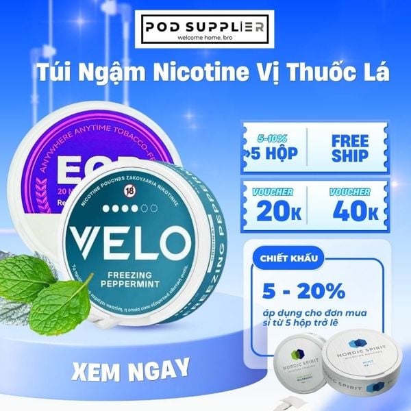 Túi Ngậm Nicotine Vị Thuốc Lá tại Pod Supplier