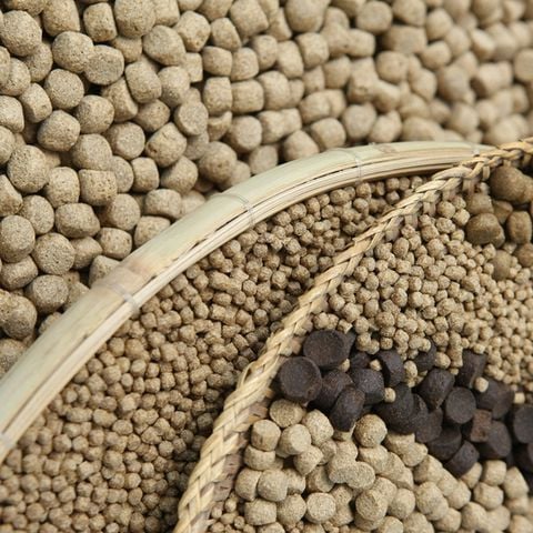 Ưu nhược điểm các loại thức ăn cá tra trên thị trường hiện nay