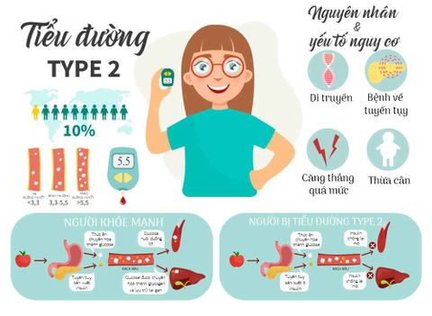 Cơ chế đái tháo đường type 2