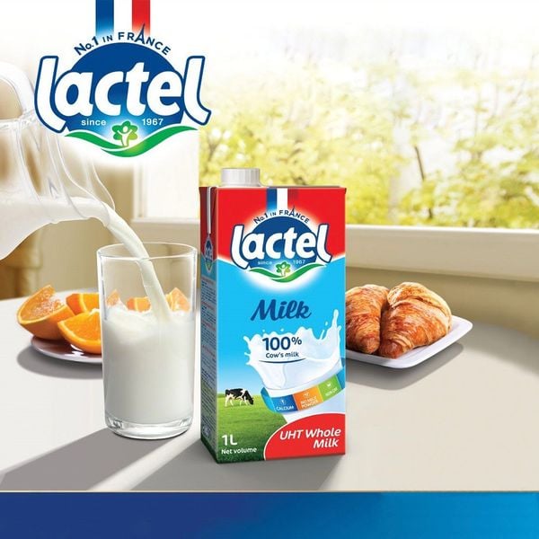 Sữa Tiệt Trùng Nguyên Chất Lactel 1L -  Thương Hiệu Pháp, SX Slovenia