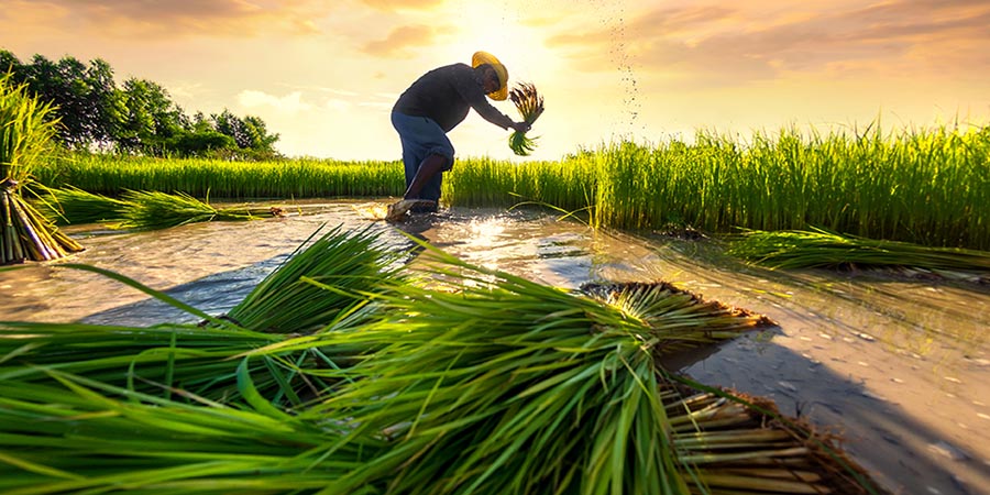 [HN] [KDIS] Tuyển dụng Giám Đốc Phát Triển Kinh Doanh