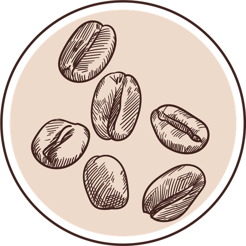 Cà Phê Toro Robusta