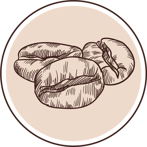 Cà Phê Toro Culi Robusta