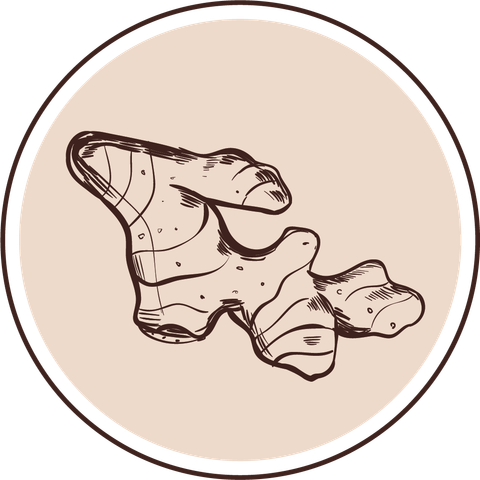 Tinh Bột Nghệ & Kẹo Nghệ Toro