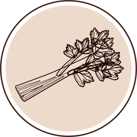 Bột Rau Củ Sấy Toro