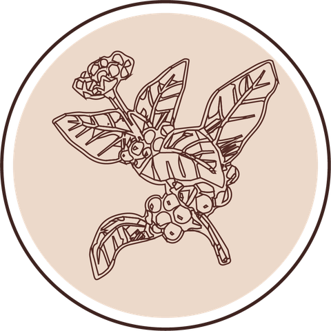 Cà Phê Nguyên Chất Toro