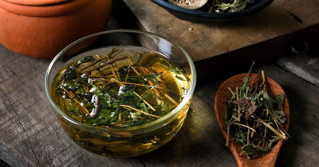 Lợi ích bất ngờ của cây cỏ ngọt