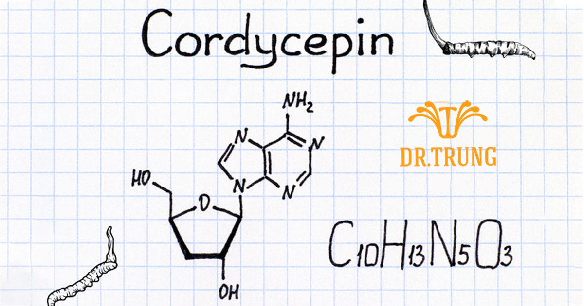Cấu trúc Cordycepin