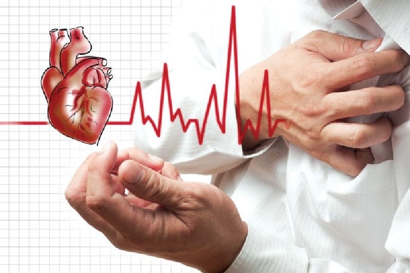 Bộ phận tim, gan và phổi kỵ những gì?