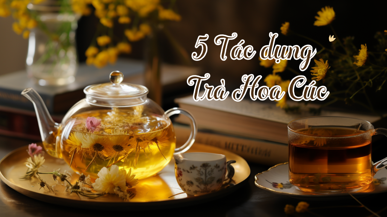 5 tác dụng trà hoa cúc với sức khỏe và tinh thần. Uống nhiều trà hoa cúc có tốt không?