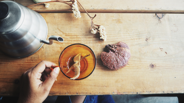 Công dụng trà linh chi đối với sức khỏe