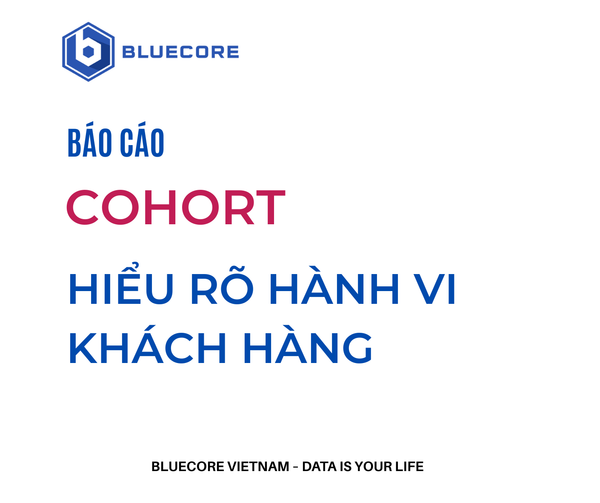 Báo cáo Cohort: Công cụ giúp doanh nghiệp hiểu rõ hành vi khách hàng và tăng trưởng bền vững