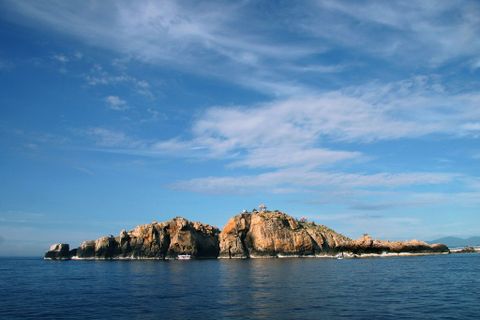 NGUỒN GỐC CỦA TỔ YẾN TẠI CICI THƯỢNG ĐỈNH YẾN