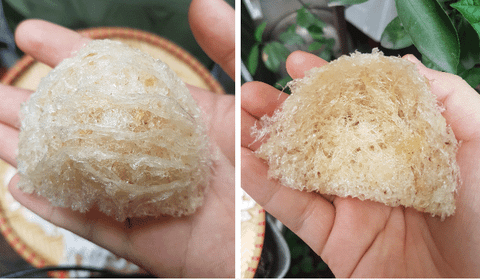 NÊN CHỌN MUA TỔ YẾN THÔ HAY TỔ YẾN TINH CHẾ?