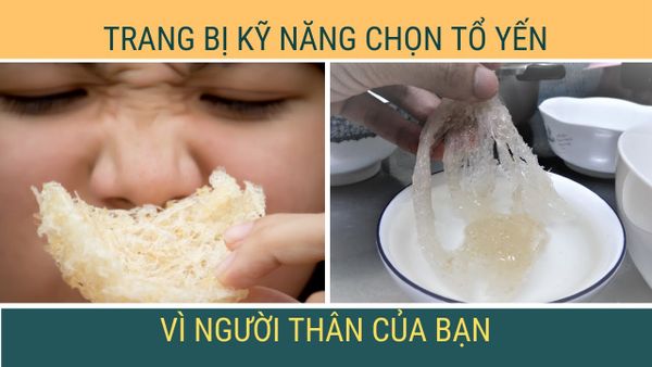 THẾ NÀO LÀ MỘT TỔ YẾN KHÁNH HÒA GIÁ RẺ 2