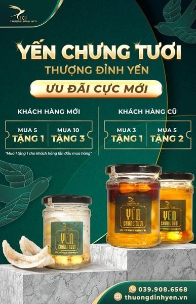 TỔ YẾN CICI THƯỢNG ĐỈNH YẾN – QUÀ TẶNG THAY LỜI CẢM ƠN 8