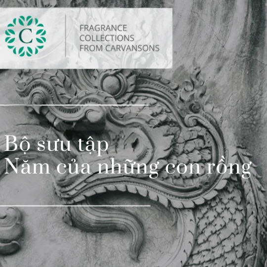 Bộ sưu tập trong Năm của những con rồng