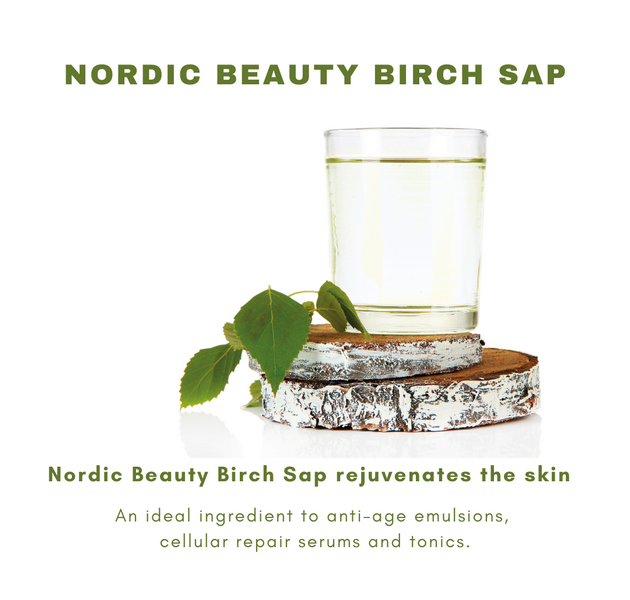 NORDIC BEAUTY BIRCH SAP – NƯỚC BẠCH DƯƠNG – Nước của sự sống