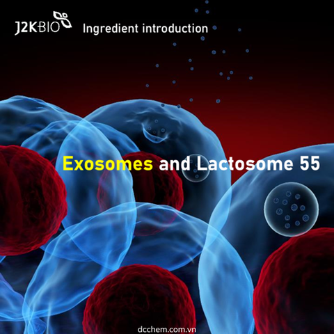 LACTOSOME 55 VÀ CÔNG NGHỆ EXOSOME – HOẠT CHẤT MỚI NỔI TRONG NGÀNH LÀM ĐẸP