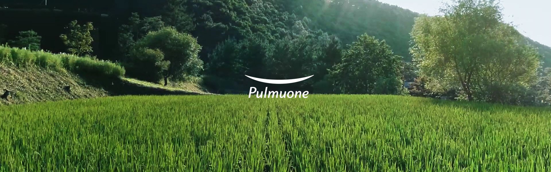 Pulmuone Việt Nam