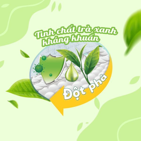 Kitin Natural chứa tinh chất trà xanh thiên nhiên