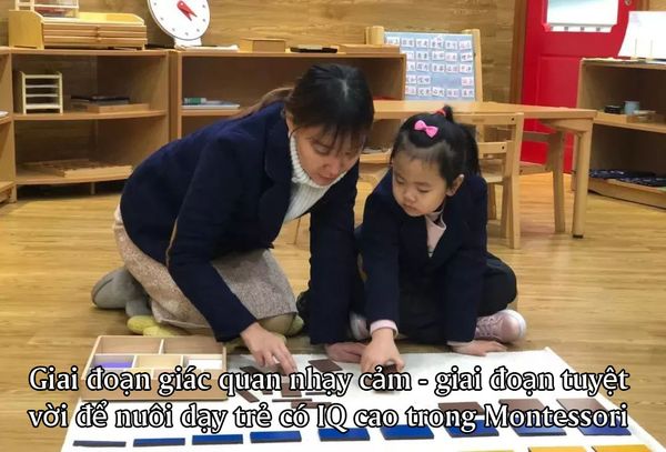 Giai đoạn giác quan nhạy cảm - giai đoạn tuyệt vời để nuôi dạy trẻ có IQ cao trong Montessori
