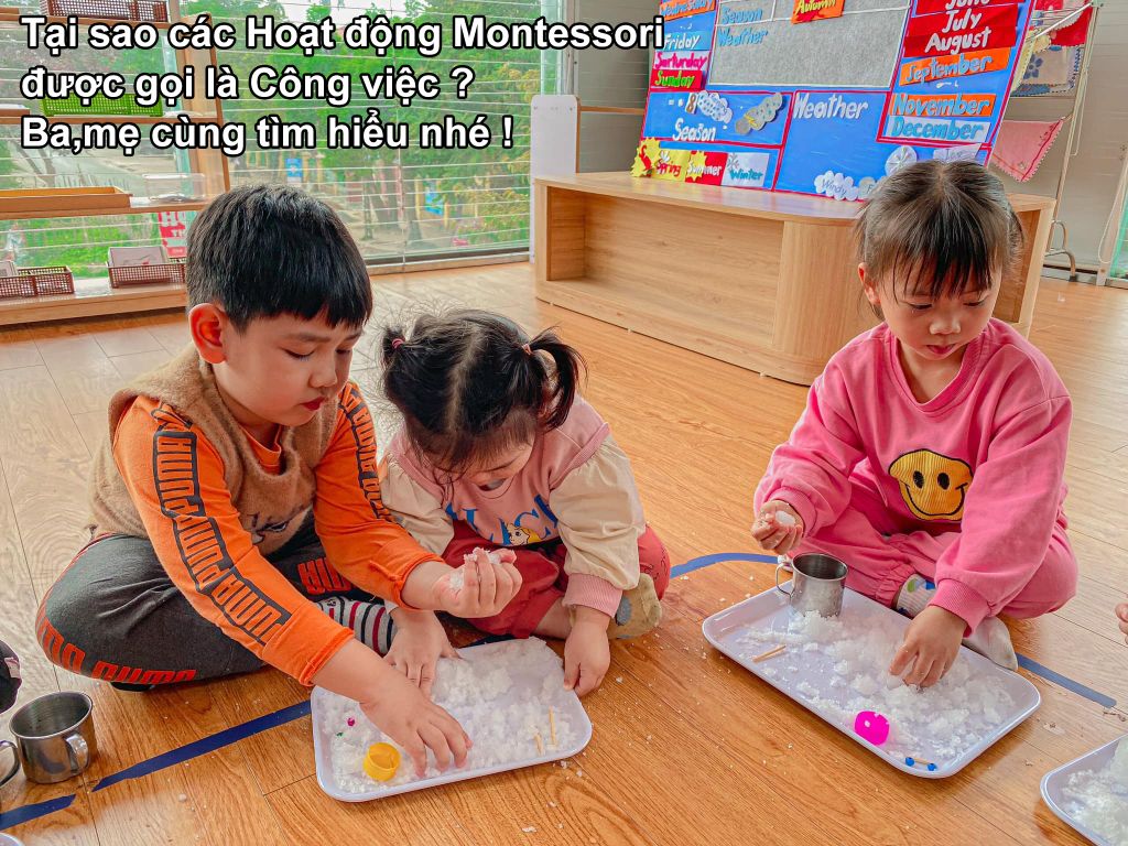 Tại sao các Hoạt động Montessori được gọi là Công việc ? Ba,mẹ cùng tìm hiểu nhé !