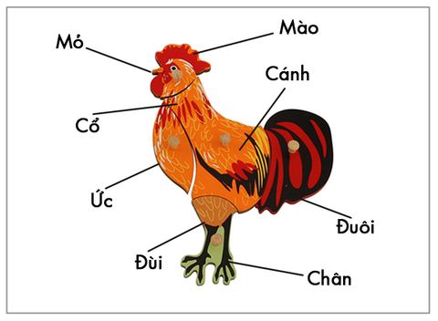 Thẻ kiểm soát sinh học - Thẻ ba phần con gà