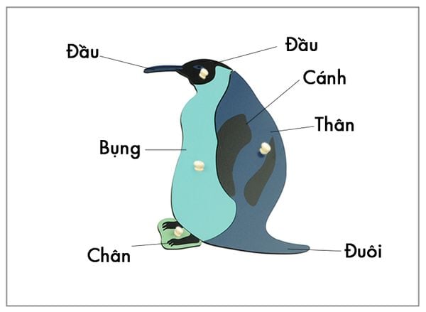 Thẻ kiểm soát sinh học - Thẻ ba phần con chim Cánh cụt