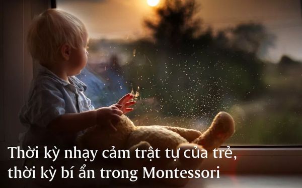 Thời kỳ nhạy cảm trật tự của trẻ , thời kỳ bí ẩn trong Montessori