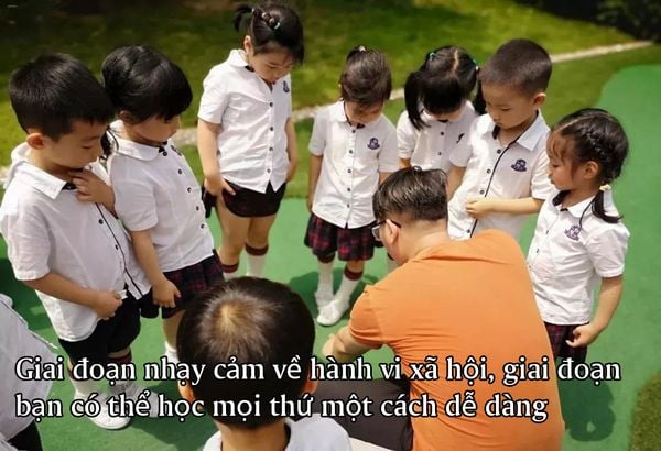 Giai đoạn nhạy cảm về hành vi xã hội, giai đoạn bạn có thể học mọi thứ một cách dễ dàng trong Montessori