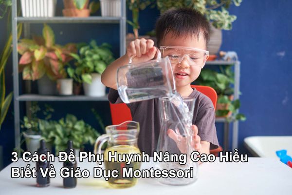 3 Cách Để Phụ Huynh Nâng Cao Hiểu Biết Về Giáo Dục Montessori