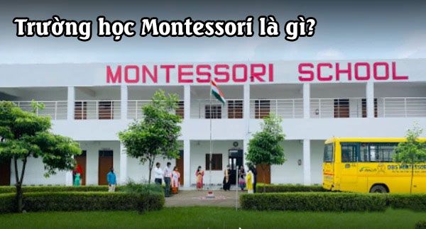 Trường học Montessori là gì? 5p để hiểu đầy đủ về trường Montessori.
