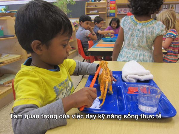 Tầm quan trọng của việc dạy kỹ năng sống thực tế
