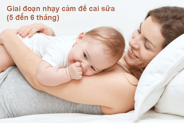 Giai đoạn nhạy cảm để cai sữa (5 đến 6 tháng) - Montessori