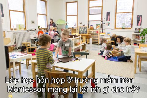 Lớp học hỗn hợp ở trường mầm non Montessori mang lại lợi ích gì cho trẻ?