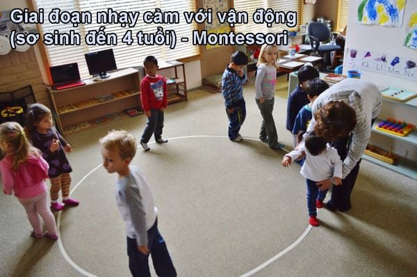 Giai đoạn nhạy cảm với vận động (sơ sinh đến 4 tuổi) - Montessori