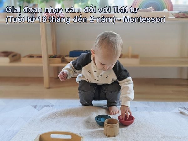 Giai đoạn nhạy cảm đối với Trật tự (Tuổi từ 18 tháng đến 2 năm) - Montessori