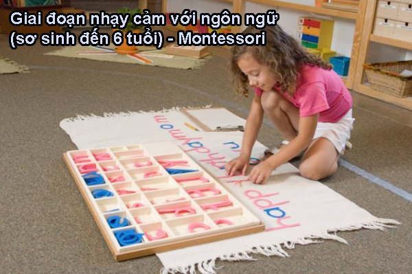 Giai đoạn nhạy cảm với ngôn ngữ (sơ sinh đến 6 tuổi) - Montessori