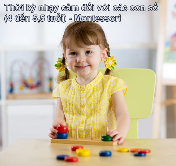 Thời kỳ nhạy cảm đối với các con số  (4 đến 5,5 tuổi) - Montessori