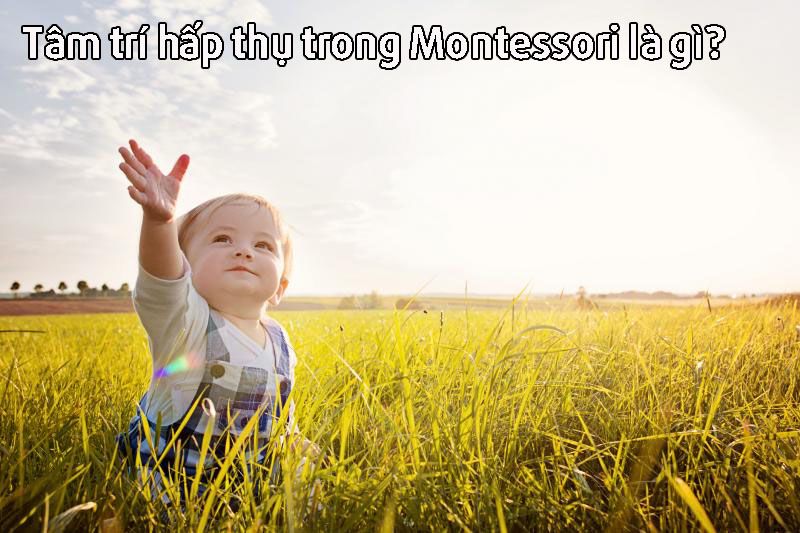Tâm trí hấp thụ trong Montessori là gì?