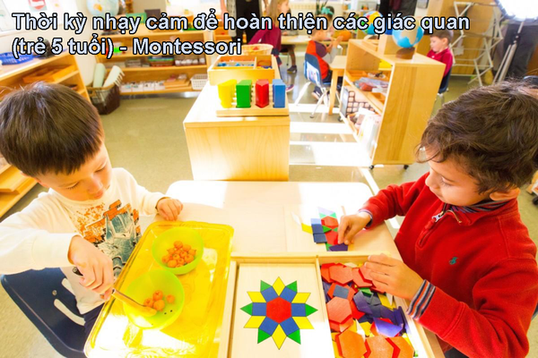 Thời kỳ nhạy cảm để hoàn thiện các giác quan  (trẻ 5 tuổi) - Montessori